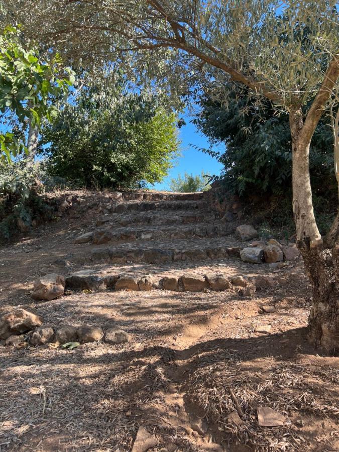 コルドバ La Casita De Campoヴィラ エクステリア 写真