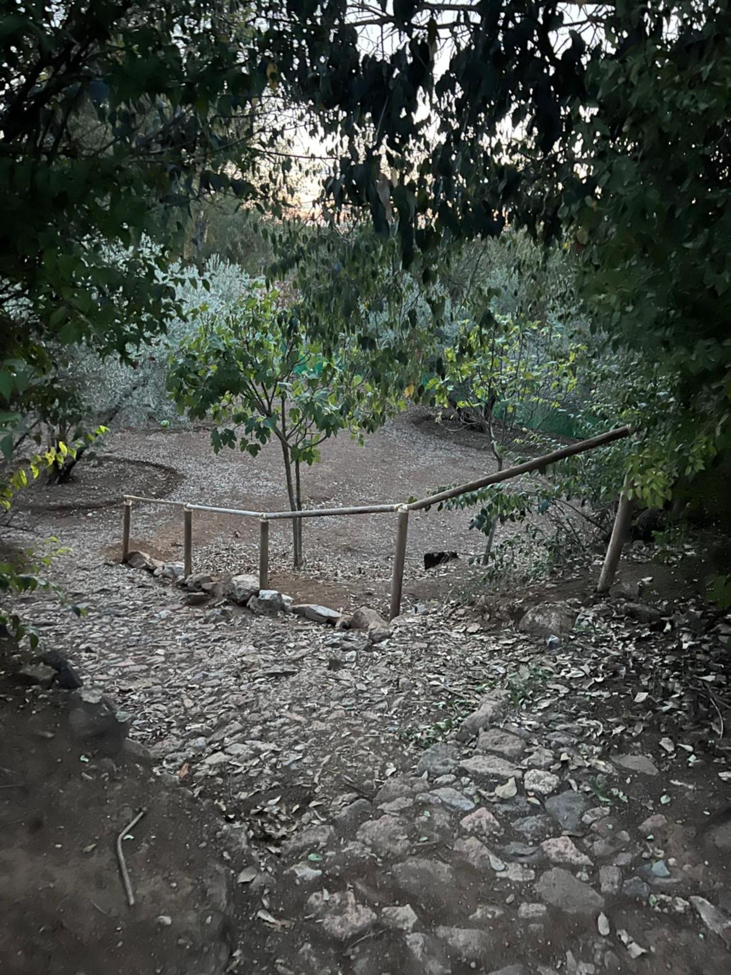 コルドバ La Casita De Campoヴィラ エクステリア 写真